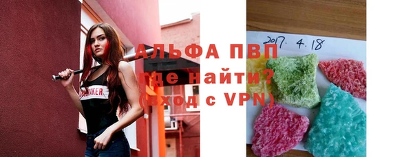 дмт Бородино