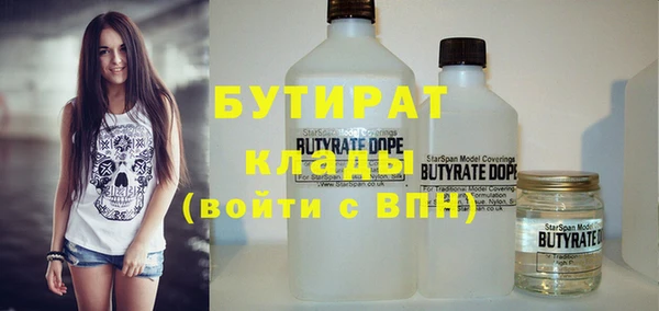 дмт Бородино