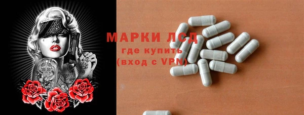 дмт Бородино