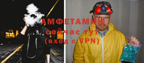 дмт Бородино