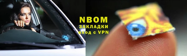 дмт Бородино