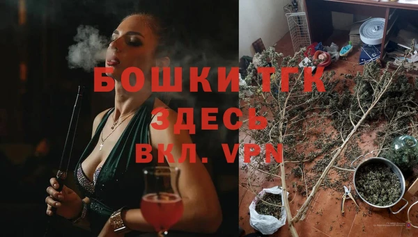 дмт Бородино