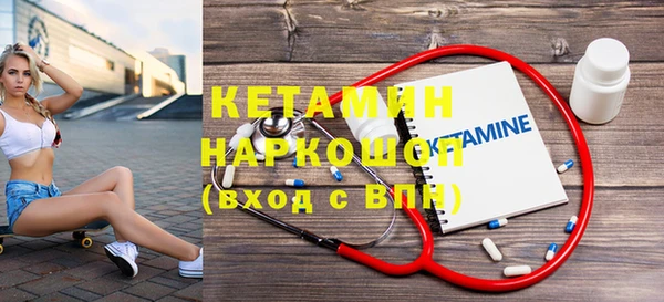 дмт Бородино