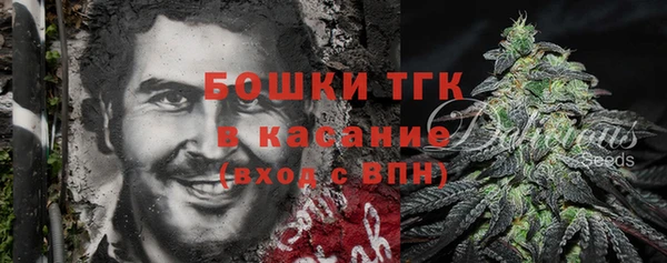 дмт Бородино