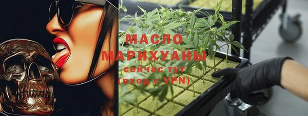 дмт Бородино