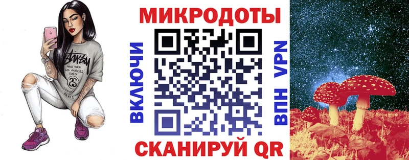 Галлюциногенные грибы Psilocybine cubensis mega онион Кочубеевское как найти закладки